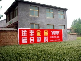  林州如何让墙体广告展现最大化效果