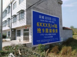  林州墙体广告质量分析