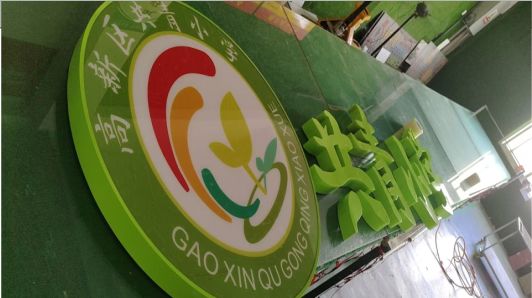  林州常见的发光字类型
