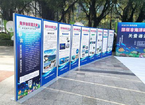  林州KT板的种类和知识。